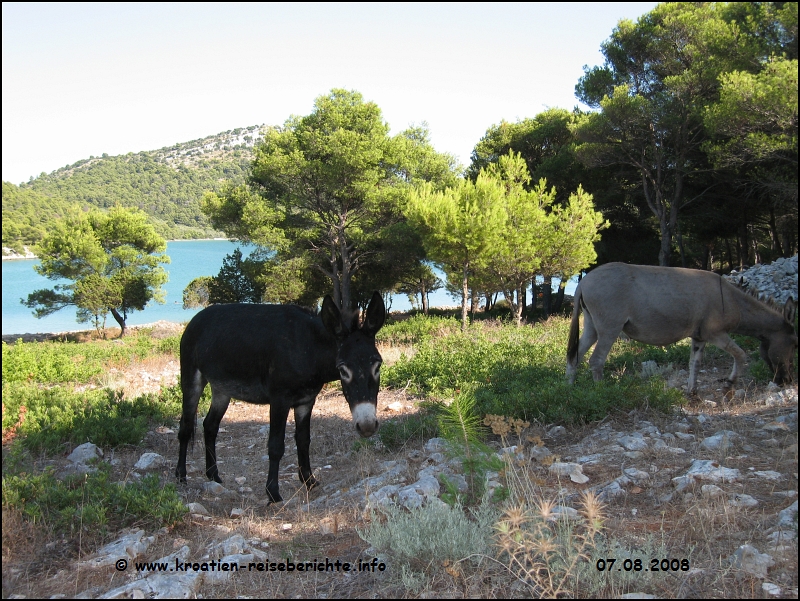 Naturpark Telascica