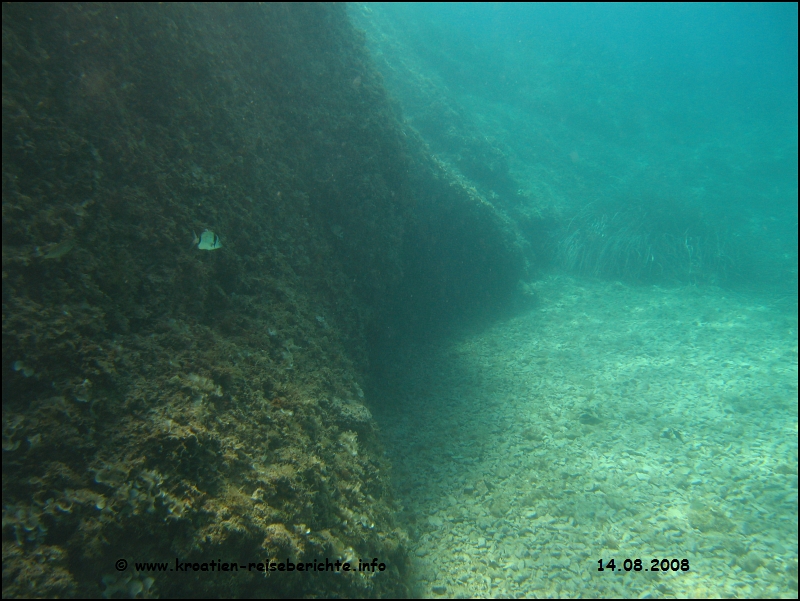Blaue Grotte - Cres