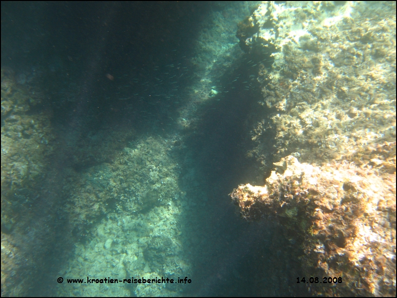 Blaue Grotte - Cres