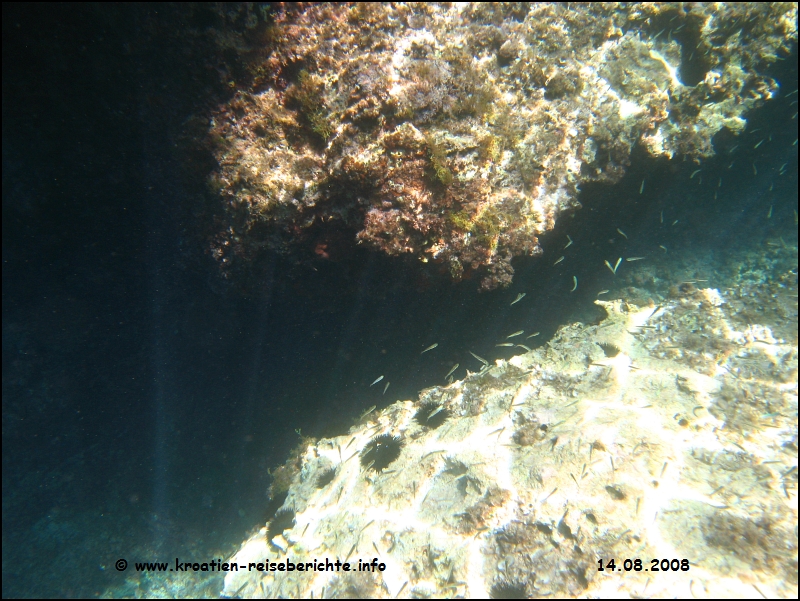 Blaue Grotte - Cres