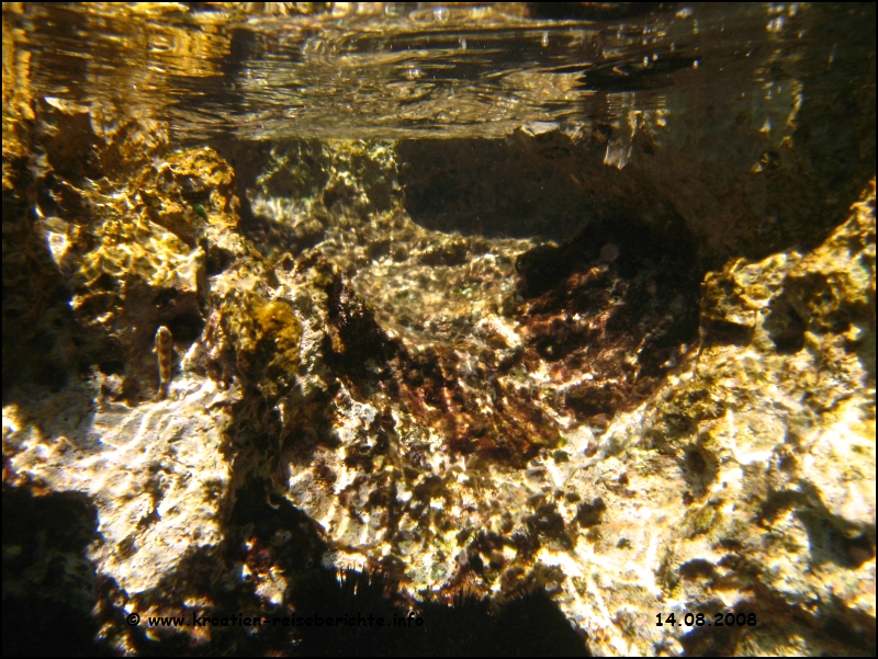 Blaue Grotte - Cres