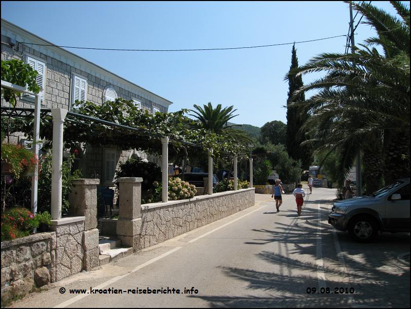 Molunat