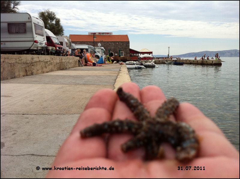 Andi in Senj