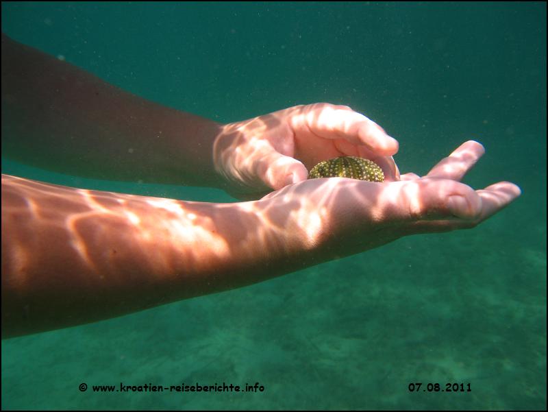 Pakostane