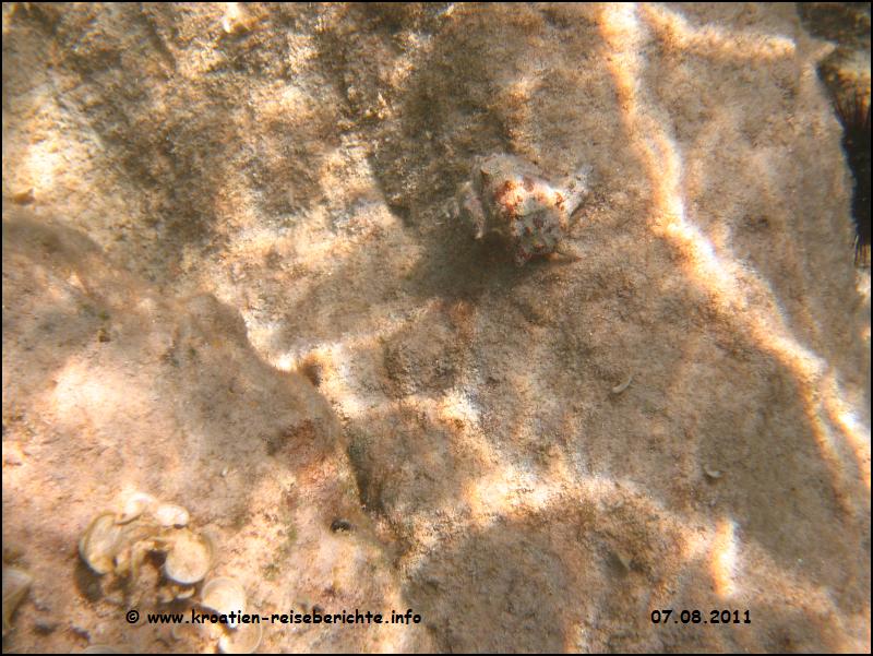Pakostane