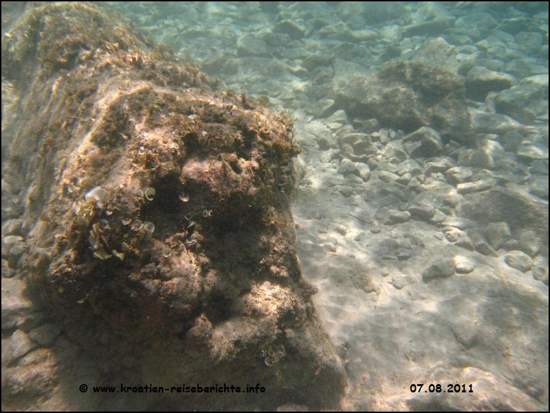 Pakostane