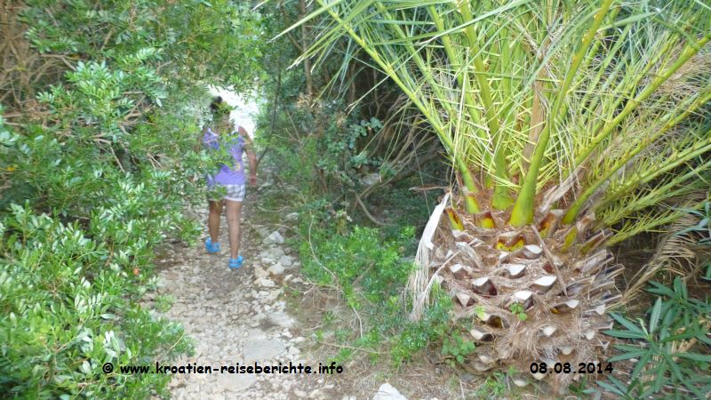 Strand Stiniva Insel Vis Kroatien