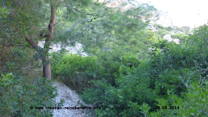 Strand Stiniva Insel Vis Kroatien