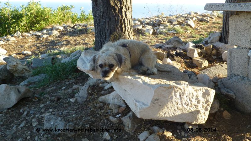 Strand Stiniva Insel Vis Kroatien