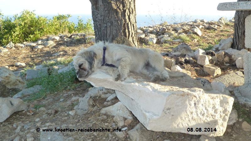 Strand Stiniva Insel Vis Kroatien