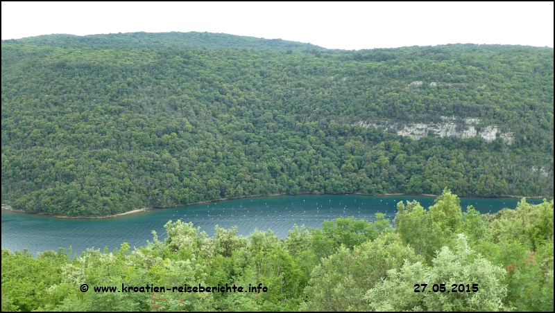 Limski