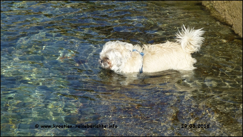 Stella in Senj