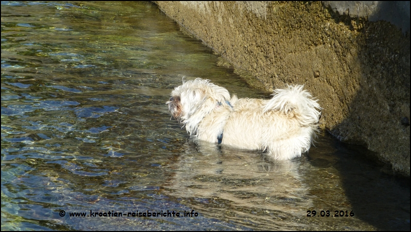 Stella in Senj