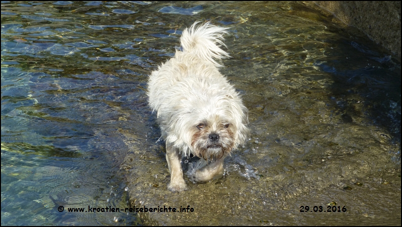 Stella in Senj