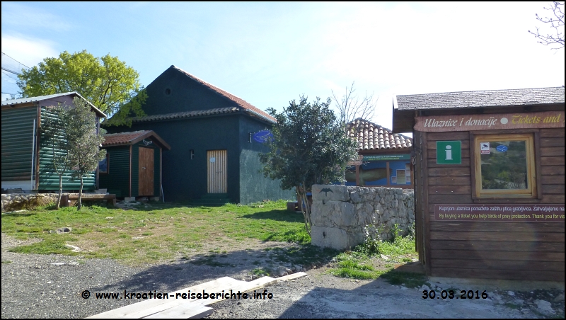 Grifon