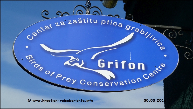 Grifon