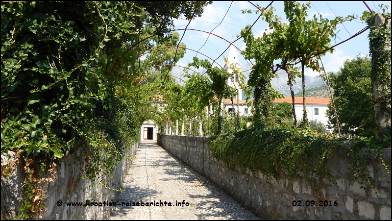 Camp Viter Zaostrog