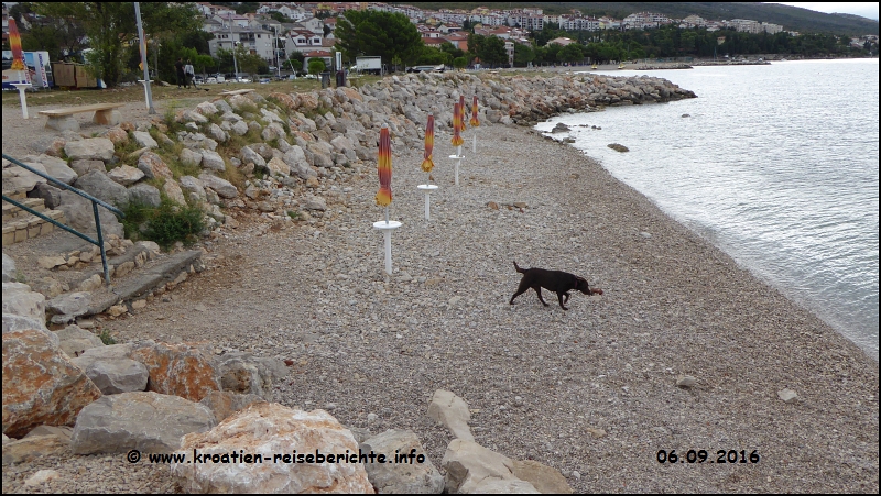 Hundestrand Crikvenica