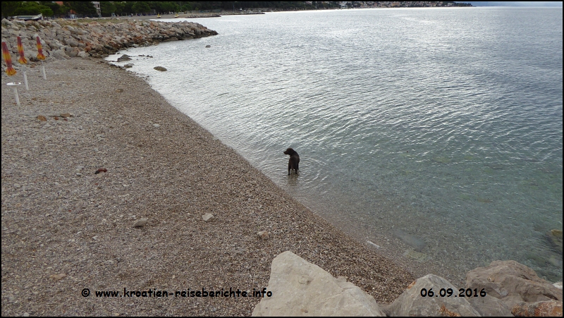 Hundestrand Crikvenica