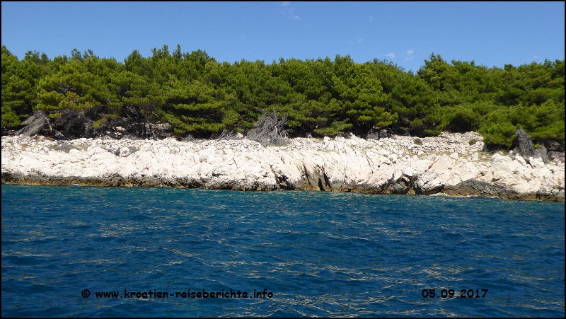 Vela Luka - Krk