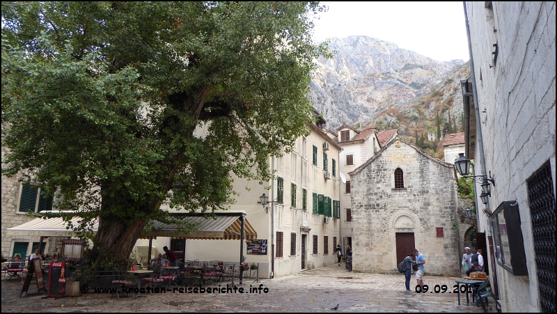 Kotor