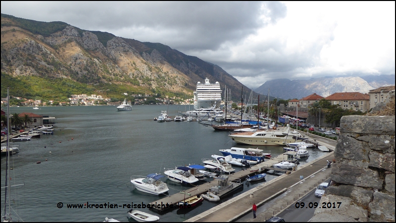 Kotor