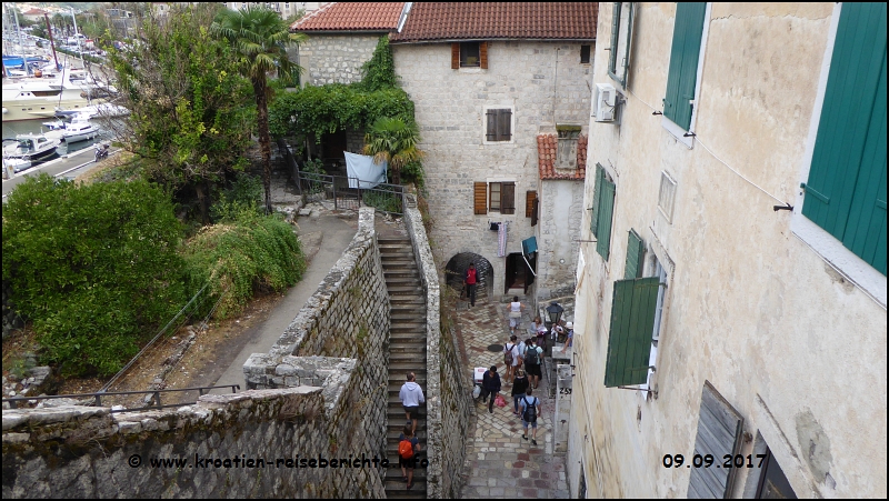 Kotor