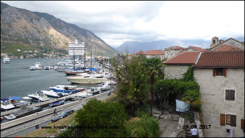 Kotor