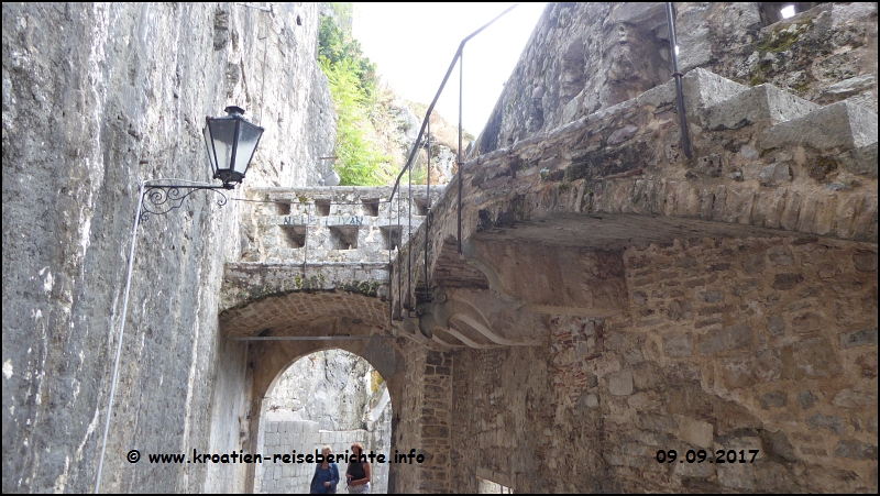 Kotor