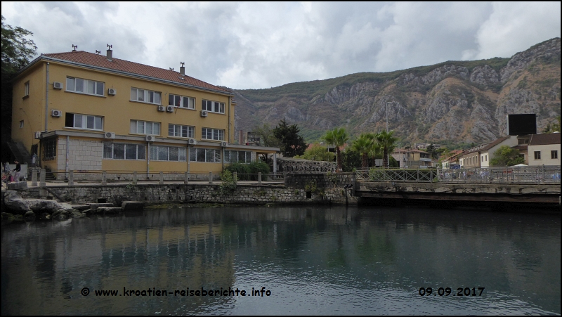 Kotor