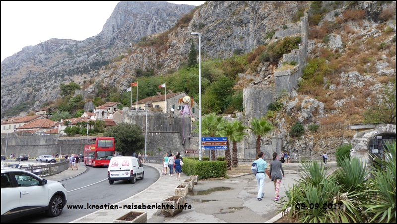 Kotor