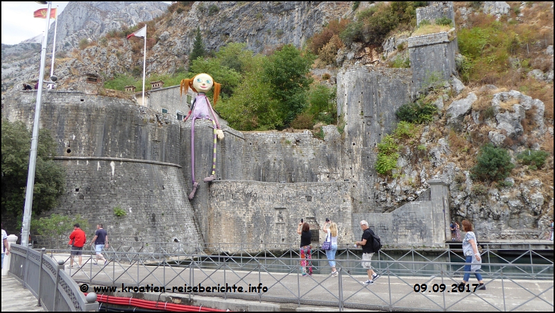 Kotor