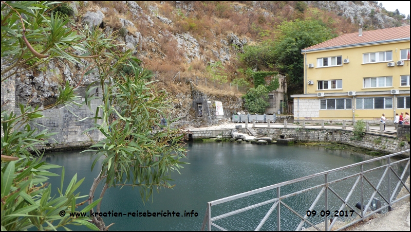 Kotor