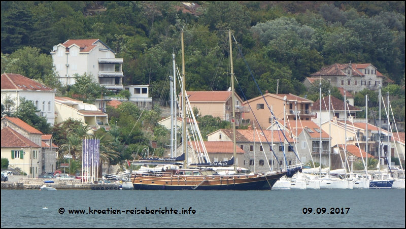 Kotor