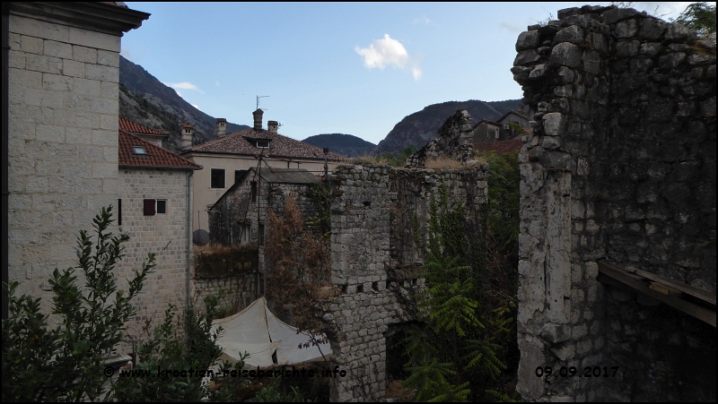 Kotor