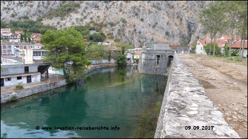 Kotor