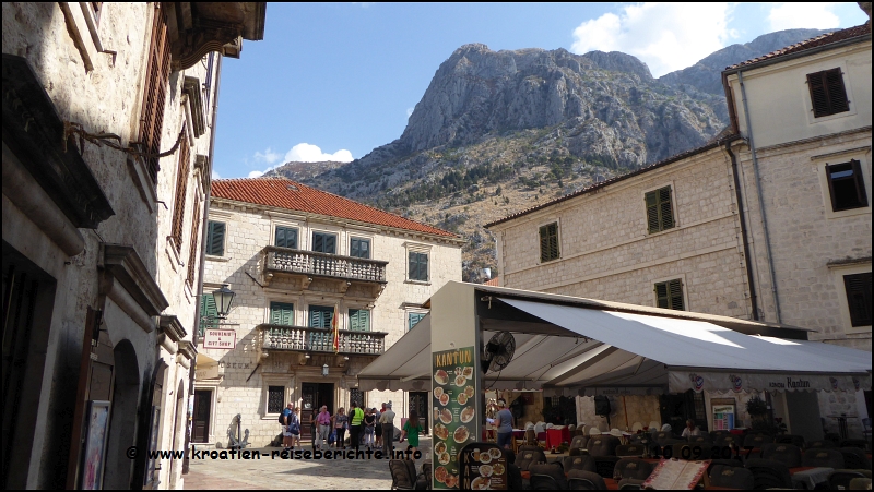 Kotor