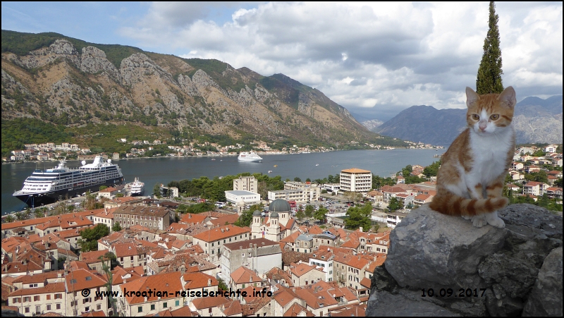 Burg Kotor