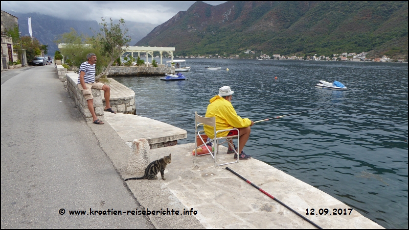 Perast