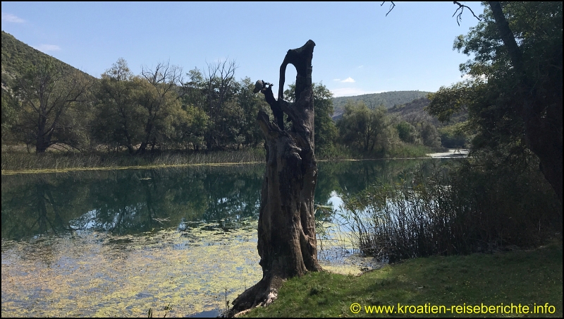 Kloster Krka