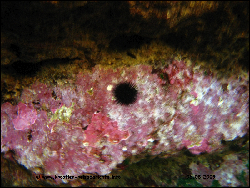 Odysseus Grotte