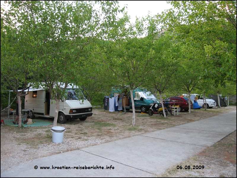 Camp Mungos