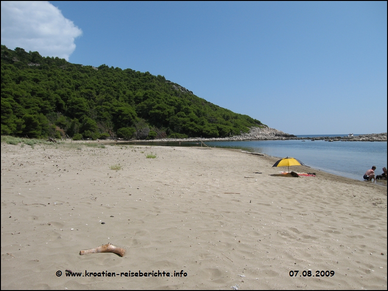 Saplunara