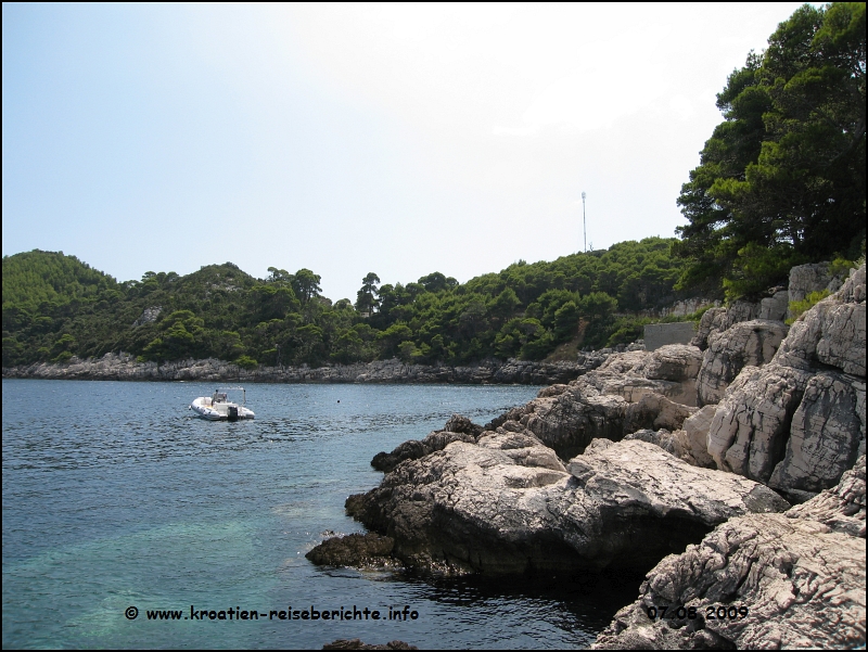 Saplunara
