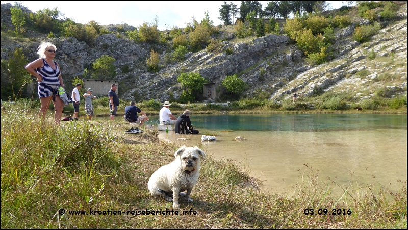 Quelle Cetina